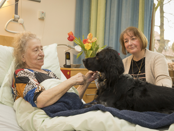 Eine Patientin mit Therapiehund und einer Betreuerin am Bett, Hospizangebote Hamburg und Umgebung, Diakonie Hospiz Volksdorf, Hamburg-Volksdorf Eine Patientin mit Therapiehund und einer Betreuerin am Bett im Diakonie Hospiz Volksdorf