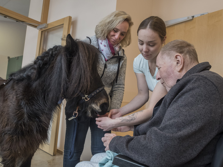 Ein Therapiepony steht mit zwei Betreuerinnen bei einem im Rollstuhl sitzenden Hospizgast in einem Flur des Diakonie Hospiz Volksdorf in Hamburg-Volksdorf. Ein Therapiepony steht mit zwei Betreuerinnen bei einem im Rollstuhl sitzenden Hospizgast in einem Flur des Diakonie Hospiz Volksdorf in Hamburg-Volksdorf.